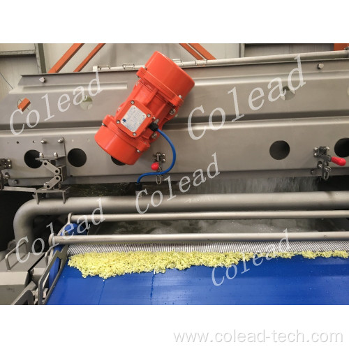 Industrial Vegetable Washing Machine for chopped vegetables